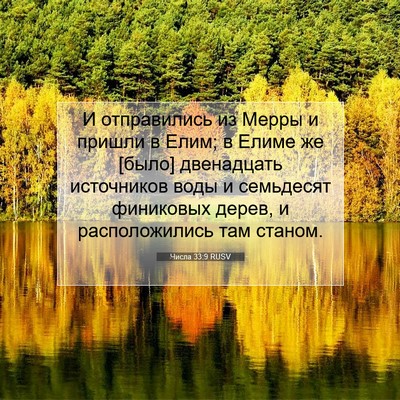 Picture 07 - Числа 33:9 RUSV - И отправились из Мерры и - Bible Verse Picture