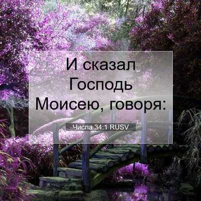 Picture 07 - Числа 34:1 RUSV - И сказал Господь Моисею, - Bible Verse Picture