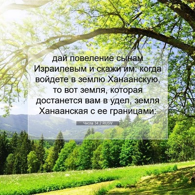Picture 07 - Числа 34:2 RUSV - дай повеление сынам - Bible Verse Picture