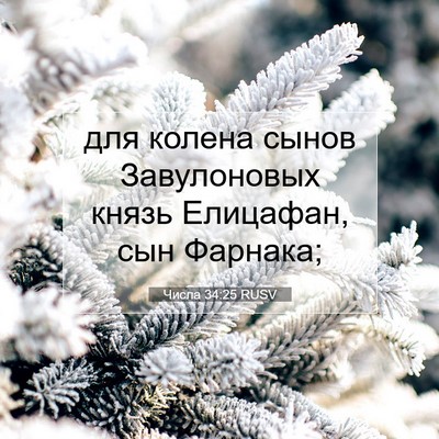 Picture 07 - Числа 34:25 RUSV - для колена сынов - Bible Verse Picture
