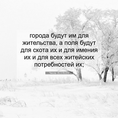 Picture 07 - Числа 35:3 RUSV - города будут им для - Bible Verse Picture