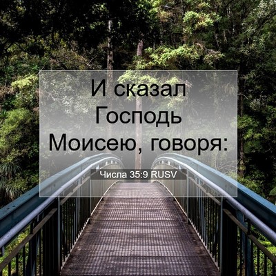Picture 07 - Числа 35:9 RUSV - И сказал Господь Моисею, - Bible Verse Picture