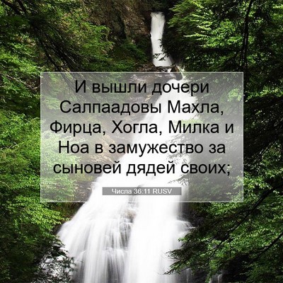 Picture 07 - Числа 36:11 RUSV - И вышли дочери Салпаадовы - Bible Verse Picture