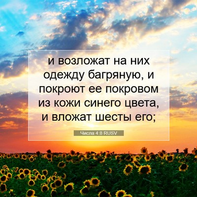 Picture 07 - Числа 4:8 RUSV - и возложат на них одежду - Bible Verse Picture