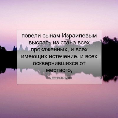 Picture 07 - Числа 5:2 RUSV - повели сынам Израилевым - Bible Verse Picture