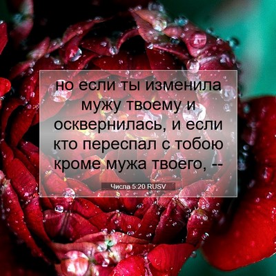Picture 07 - Числа 5:20 RUSV - но если ты изменила мужу - Bible Verse Picture