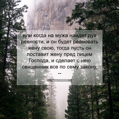 Picture 07 - Числа 5:30 RUSV - или когда на мужа найдет - Bible Verse Picture