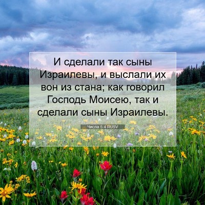 Picture 07 - Числа 5:4 RUSV - И сделали так сыны - Bible Verse Picture