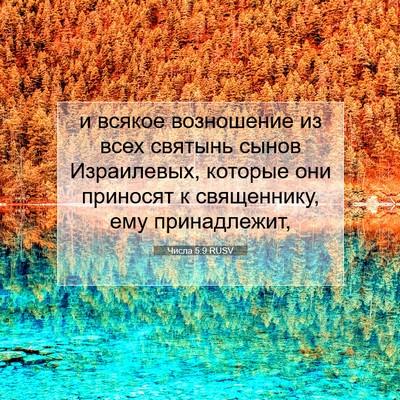 Picture 07 - Числа 5:9 RUSV - и всякое возношение из - Bible Verse Picture
