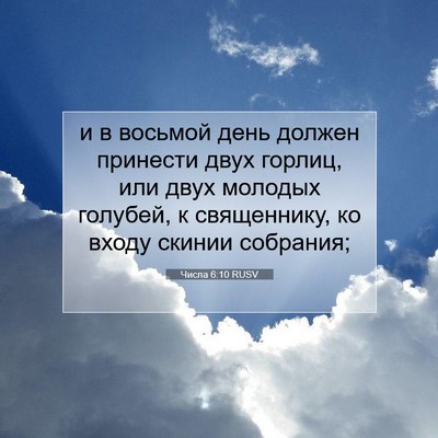 Picture 07 - Числа 6:10 RUSV - и в восьмой день должен - Bible Verse Picture