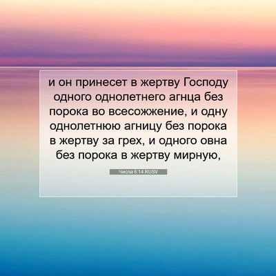 Picture 07 - Числа 6:14 RUSV - и он принесет в жертву - Bible Verse Picture