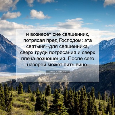 Picture 07 - Числа 6:20 RUSV - и вознесет сие священник, - Bible Verse Picture