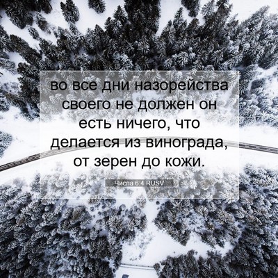 Picture 07 - Числа 6:4 RUSV - во все дни назорейства - Bible Verse Picture