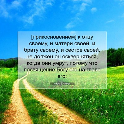 Picture 07 - Числа 6:7 RUSV - [прикосновением] к отцу - Bible Verse Picture