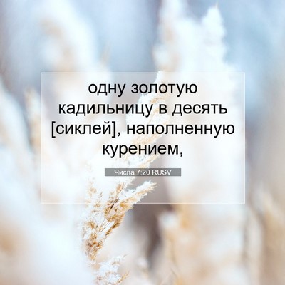 Picture 07 - Числа 7:20 RUSV - одну золотую кадильницу в - Bible Verse Picture