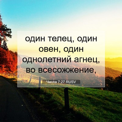 Picture 07 - Числа 7:27 RUSV - один телец, один овен, один - Bible Verse Picture