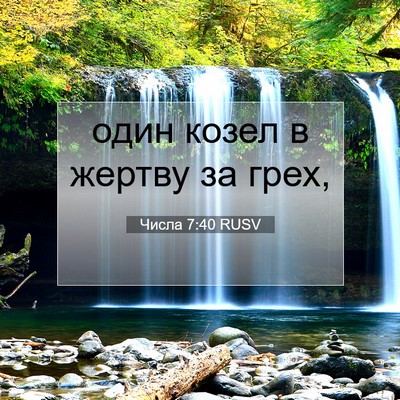 Picture 07 - Числа 7:40 RUSV - один козел в жертву за - Bible Verse Picture