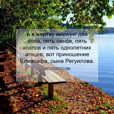 Picture 07 - Числа 7:47 RUSV - и в жертву мирную два вола, - Bible Verse Picture