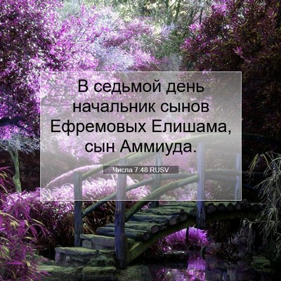 Picture 07 - Числа 7:48 RUSV - В седьмой день начальник - Bible Verse Picture