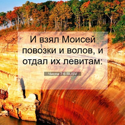 Picture 07 - Числа 7:6 RUSV - И взял Моисей повозки и - Bible Verse Picture