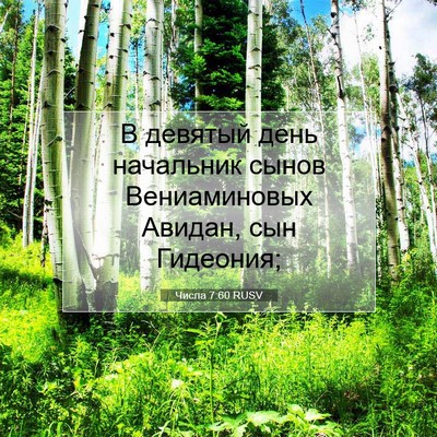 Picture 07 - Числа 7:60 RUSV - В девятый день начальник - Bible Verse Picture