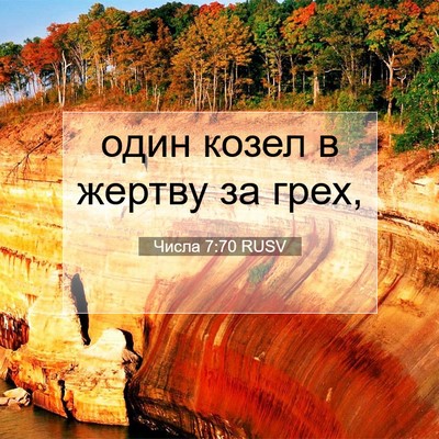 Picture 07 - Числа 7:70 RUSV - один козел в жертву за - Bible Verse Picture