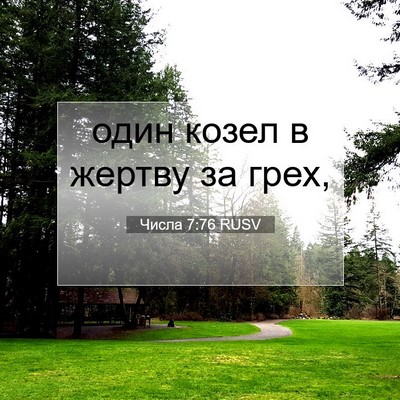 Picture 07 - Числа 7:76 RUSV - один козел в жертву за - Bible Verse Picture