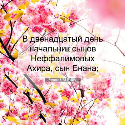Picture 07 - Числа 7:78 RUSV - В двенадцатый день - Bible Verse Picture