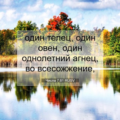 Picture 07 - Числа 7:81 RUSV - один телец, один овен, один - Bible Verse Picture