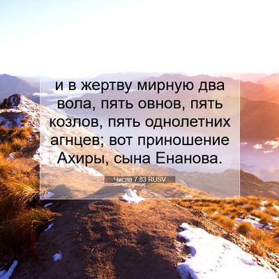 Picture 07 - Числа 7:83 RUSV - и в жертву мирную два вола, - Bible Verse Picture
