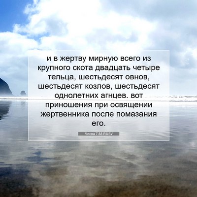 Picture 07 - Числа 7:88 RUSV - и в жертву мирную всего из - Bible Verse Picture
