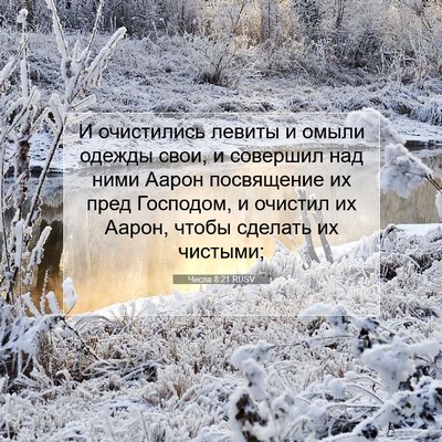 Picture 07 - Числа 8:21 RUSV - И очистились левиты и - Bible Verse Picture