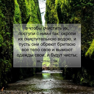 Picture 07 - Числа 8:7 RUSV - а чтобы очистить их, - Bible Verse Picture