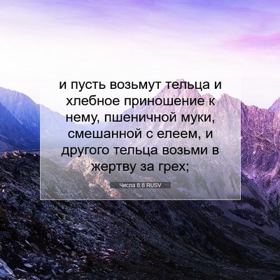 Picture 07 - Числа 8:8 RUSV - и пусть возьмут тельца и - Bible Verse Picture