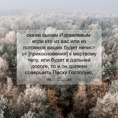 Picture 07 - Числа 9:10 RUSV - скажи сынам Израилевым: - Bible Verse Picture