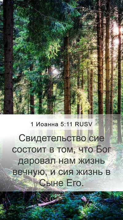1 Иоанна 5:11 RUSV Bible Verse Image