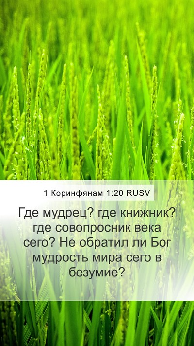 1 Коринфянам 1:20 RUSV Bible Verse Image