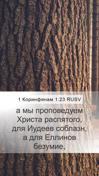 1 Коринфянам 1:23 RUSV Bible Verse Image