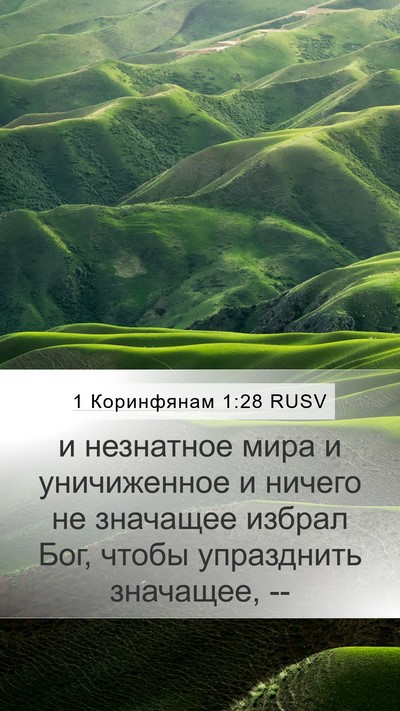 1 Коринфянам 1:28 RUSV Bible Verse Image