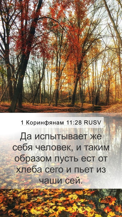 1 Коринфянам 11:28 RUSV Bible Verse Image