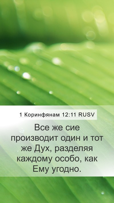 1 Коринфянам 12:11 RUSV Bible Verse Image