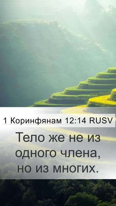 1 Коринфянам 12:14 RUSV Bible Verse Image
