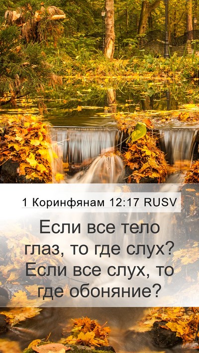 1 Коринфянам 12:17 RUSV Mobile Phone Wallpaper - Если все тело глаз, то где - Mobile Bible Verse Wallpaper