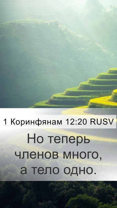 1 Коринфянам 12:20 RUSV Bible Verse Image