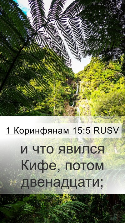 1 Коринфянам 15:5 RUSV Bible Verse Image