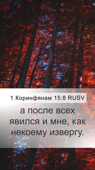 1 Коринфянам 15:8 RUSV Bible Verse Image