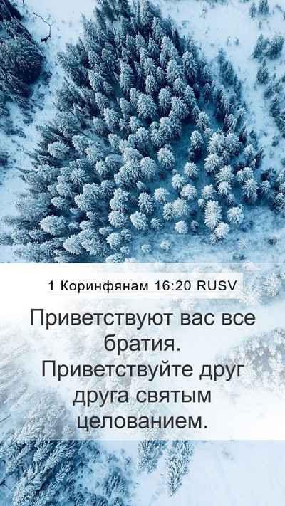 1 Коринфянам 16:20 RUSV Bible Verse Image