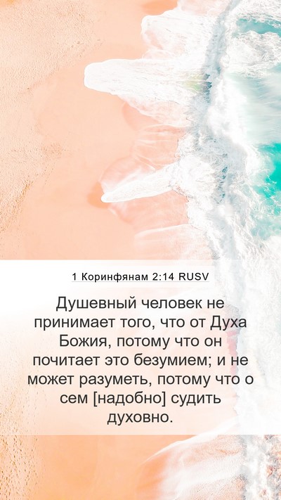 1 Коринфянам 2:14 RUSV Bible Verse Image
