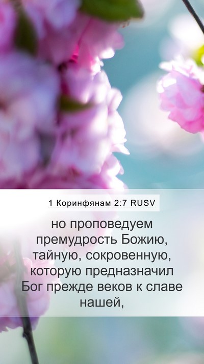1 Коринфянам 2:7 RUSV Bible Verse Image
