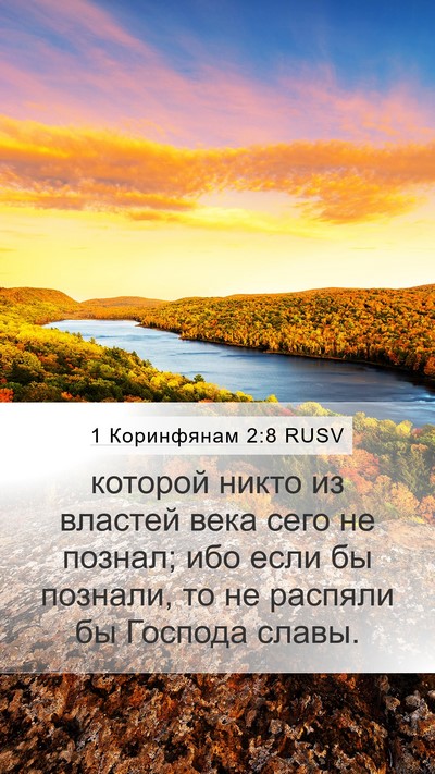 1 Коринфянам 2:8 RUSV Bible Verse Image